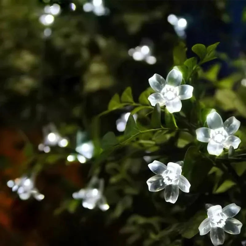 Gardentwinkle | Solar Flower Lights
